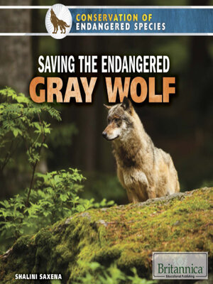 Saving the Endangered Gray Wolf - ebook